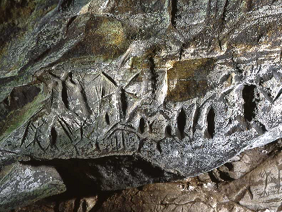 ダウンロード (2)