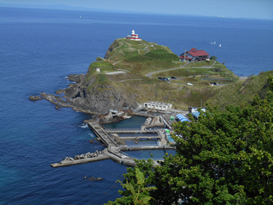 ダウンロード (3)