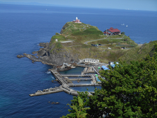 【11/8催行決定】札幌発日帰りバスツアー 小樽・余市の絶景＆開運スポット巡りとアフタヌーンティー　小樽＆余市の癒し旅＜札幌発着／女性限定＞byクラブツーリズム