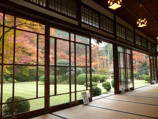 ダウンロード (1)