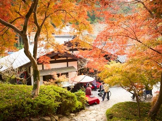 ダウンロード (2)