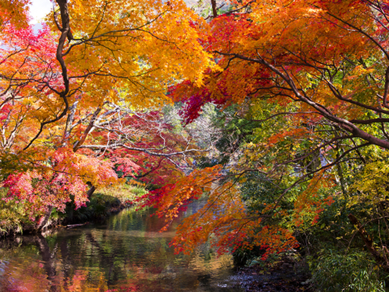 ダウンロード (1)