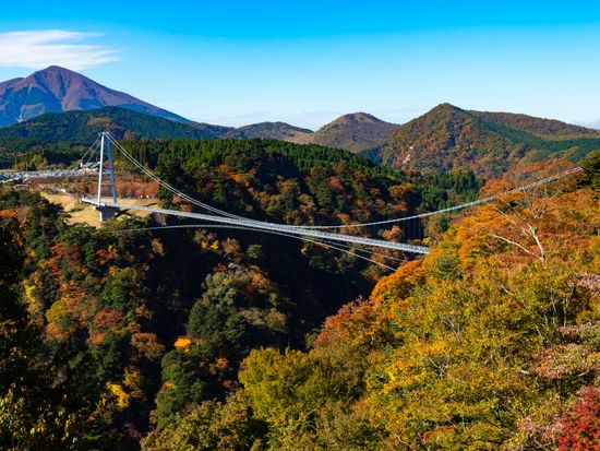 Japan_Oita_Kokonoe_Yume Otsuribashi_pixta_44562855_M