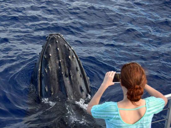 shutterstock_1142349353