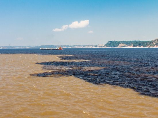 Brazil_Manaus_shutterstock_578410411