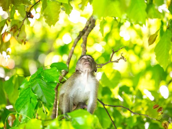 PhiPhi_Khai_Island_2023-24_35