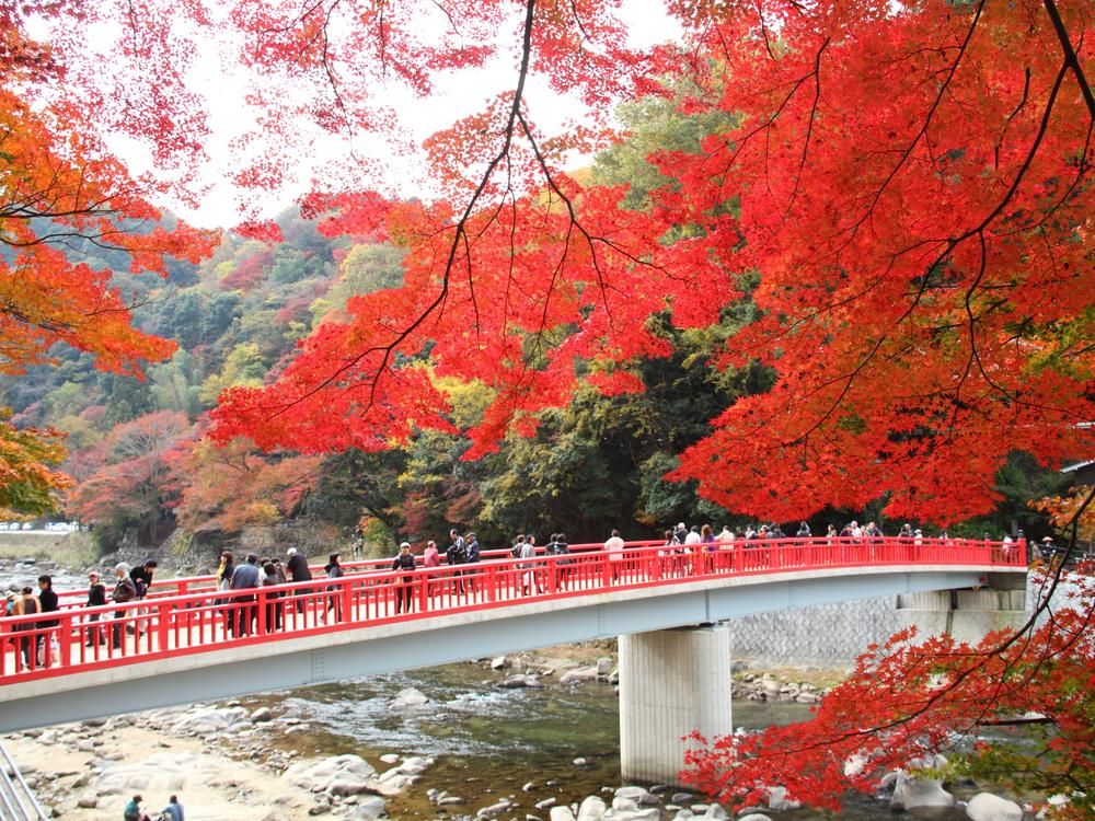 名古屋発日帰りバスツアー 東海屈指の紅葉「香嵐渓」＆明知鉄道