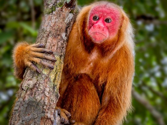 AdobeStock_216064699