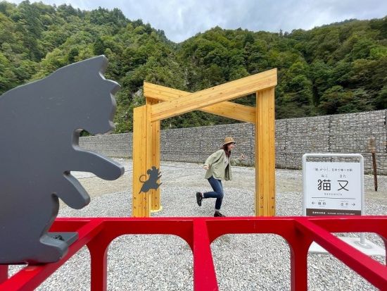 黒部峡谷トロッコ電車 お得な切符 四季折々の絶景を満喫＜宇奈月駅～猫又駅間の往復／約120分＞