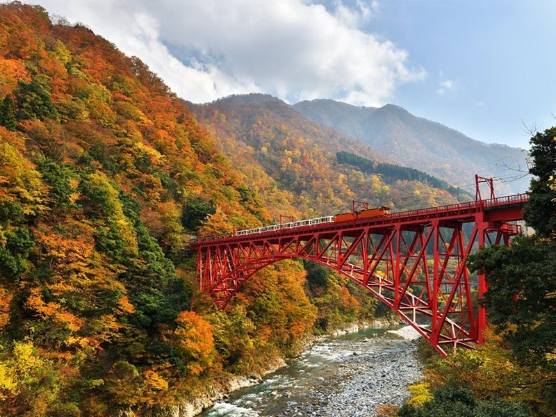 (未使用･未開封品)　秋晴れの黒部峡谷トロッコ電車運転席展望宇奈月 ⇔ 欅平(往復) 4K撮影作品 [Blu-ray] wyeba8q Amazon.co.jp: 秋晴れの黒部峡谷トロッコ電車運転席展望