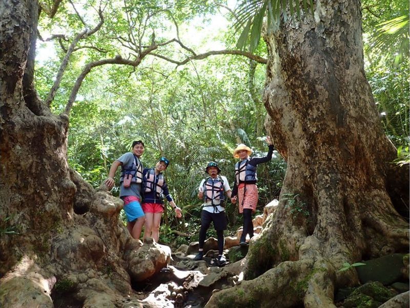 11000005969103_AG9MSFmw_4