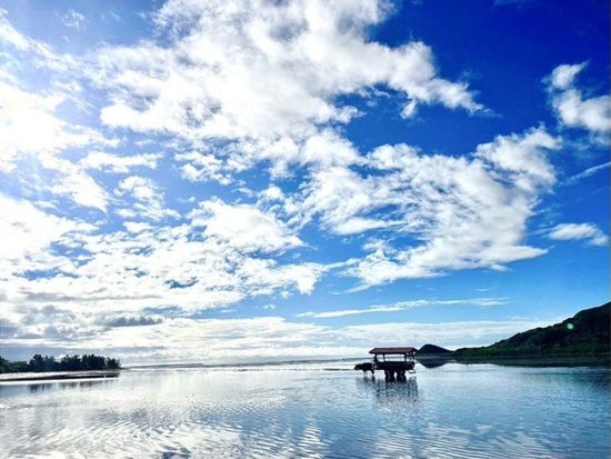 11000005969105_yA3VtXGq_4