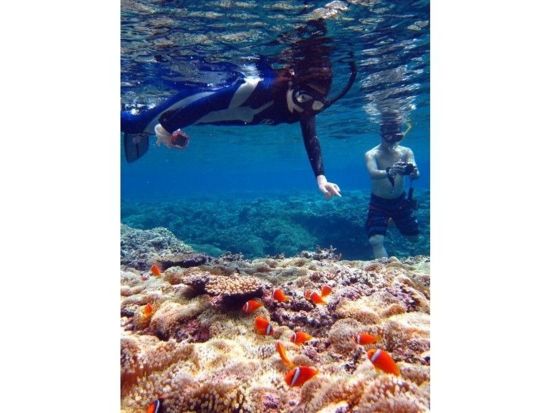 カヌートレッキング＆バラス島シュノーケル or サンゴ礁体験ダイビング1日ツアー 海と山の贅沢アドベンチャー＜1日／送迎付／西表島＞