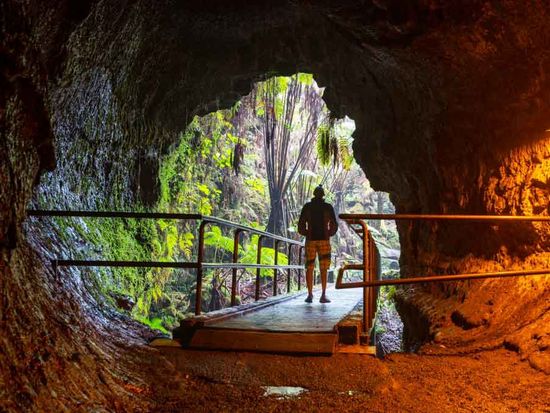 shutterstock_1084653554