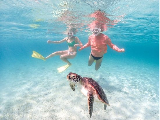 ウミガメシュノーケル体験 透明度抜群の宮古島の海でウミガメと泳ぐ！非日常体験で海遊びを満喫＜約2時間／貸切VIPプランあり◎／撮影データ付き／宮古島＞