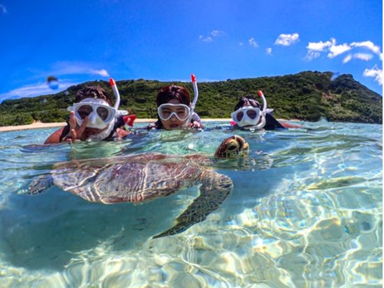 ウミガメシュノーケル体験 透明度抜群の宮古島の海でウミガメと泳ぐ！非日常体験で海遊びを満喫＜約2時間／貸切VIPプランあり◎／撮影データ付き／宮古島＞