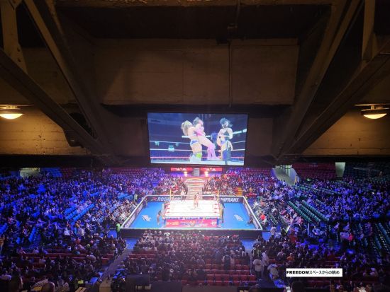 スポーツ×エンターテイメント！メキシコプロレス『ルチャリブレ』 観戦ツアー＜日本人アテンダントor英語アテンダント／メキシコシティ発＞