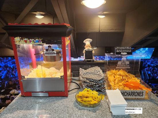 スポーツ×エンターテイメント！メキシコプロレス『ルチャリブレ』 観戦ツアー＜日本人アテンダントor英語アテンダント／メキシコシティ発＞