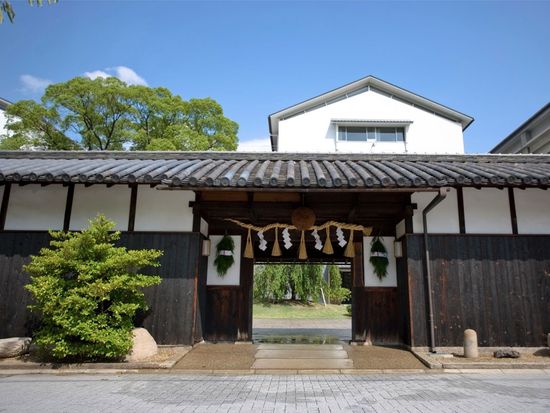 MBFZX_790fb86b-c46c-42ed-adab-38fbb8f4d3a5