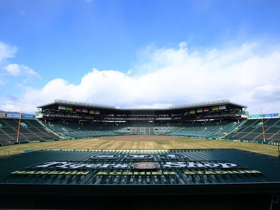 MBFZX_d5aa2dd1-36c4-4ec7-b238-b0dfd2ecb5c6