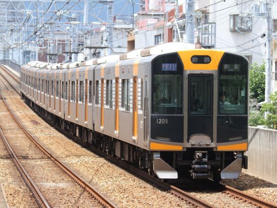 阪神1dayパス 六甲山セット 阪神エリア観光に最適！ 