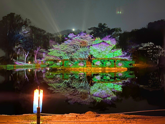 ソウル夜景貸切ツアー 夜の昌慶宮観覧、興仁之門公園、東大門ショッピング （3.5時間,ホテルまでの送迎付き）＜日本人スタッフ常駐サポート＞