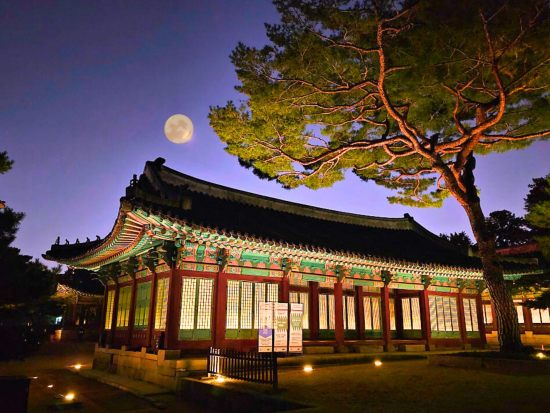 ソウル夜景貸切ツアー 夜の昌慶宮観覧、興仁之門公園、東大門ショッピング （3.5時間,ホテルまでの送迎付き）＜日本人スタッフ常駐サポート＞