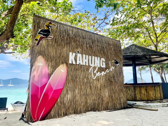 【毎日限定5組・安心の日本語ガイド】スピードボートで15分！コーラル島日帰りツアー 白い砂浜＆透き通る青い海でのんびり滞在｜船酔いの心配なし＜午前／午後＞