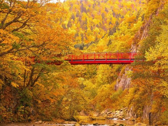 札幌・すすきの⇔定山渓温泉直通バス ホテル送迎不要でも毎日出発で便利！（2025年10月10日～2026年2月21日）＜特典付／2日間／札幌駅・すすきの発着＞
