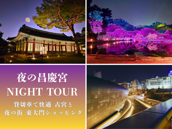 ソウル夜景貸切ツアー 夜の昌慶宮観覧、興仁之門公園、東大門ショッピング （3.5時間,ホテルまでの送迎付き）＜日本人スタッフ常駐サポート＞