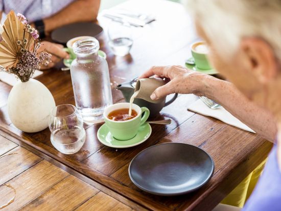 ケアンズ市内半日観光ツアー　セントモニカズ大聖堂＋ケアンズ博物館＋ボタニックガーデンズ＋展望台＋パームコーブを訪問！＜アフタヌーンティー付き／英語ガイド＞