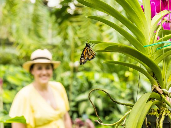 3. Botanical gardens