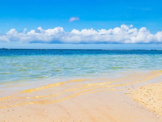 ＜先島交通＞石垣島貸切観光タクシー！空港または市街地ホテルからすぐ観光へ出発 鍾乳洞・川平湾・バンナ公園など自由周遊＜3～8時間／普通車 1～4名＞