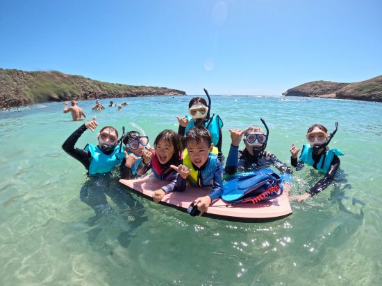 ハナウマ湾シュノーケリング　3歳から参加OK！1組貸切で日本語インストラクターがご案内　1日3便から選べる初心者専門ツアー　＜半日／水中写真付き＞