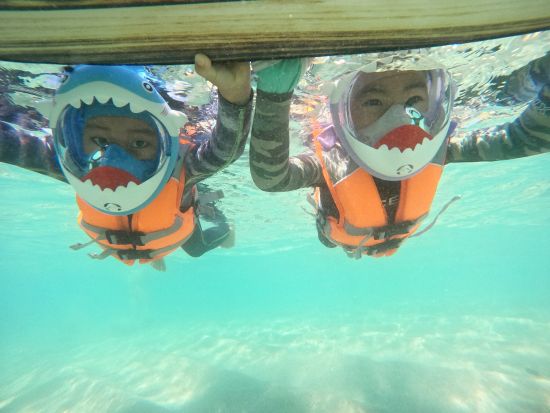 ハナウマ湾シュノーケリング　3歳から参加OK！1組貸切で日本語インストラクターがご案内　1日3便から選べる初心者専門ツアー　＜半日／水中写真付き＞