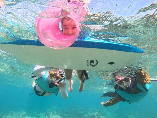 ハナウマ湾シュノーケリング　3歳から参加OK！1組貸切で日本語インストラクターがご案内　1日3便から選べる初心者専門ツアー　＜半日／水中写真付き＞