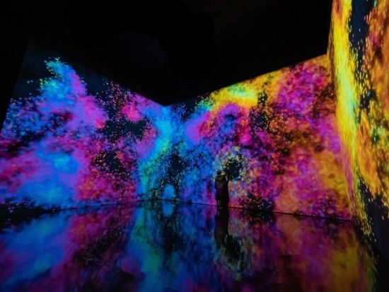 アート・サイエンス・ミュージアム入場チケット　蓮の花の形が象徴の芸術×科学の世界へ＜マリーナベイサンズ＞