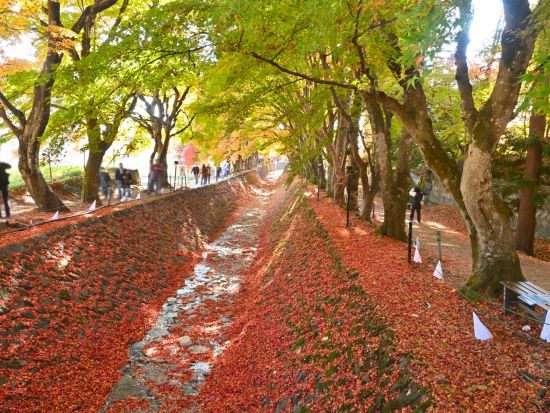上野・新宿発 日帰りバスツアー 富士山＆河口湖＆忍野八海をめぐる＜英語ガイド＞