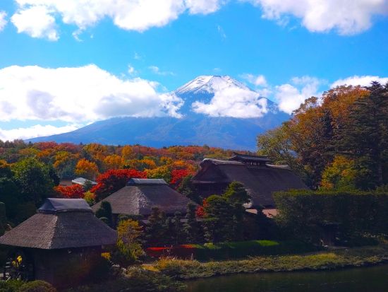 上野・新宿発 日帰りバスツアー 富士山＆河口湖＆忍野八海をめぐる＜英語ガイド＞