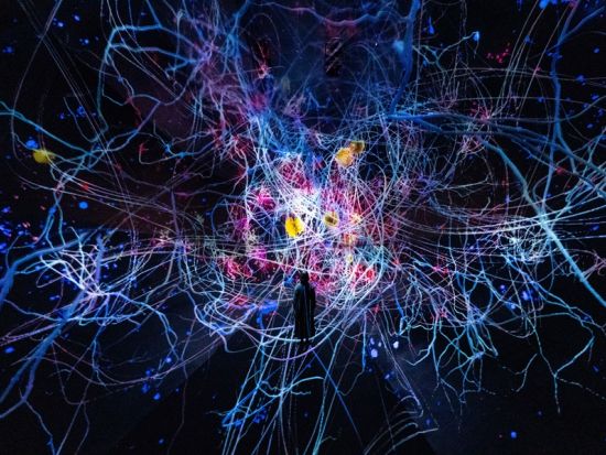 チームラボ バイオヴォルテックス 京都 エントランスパス & KYOTO-OSAKA SIGHTSEEING PASS 1day