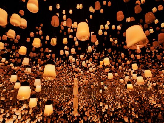 チームラボ バイオヴォルテックス 京都 エントランスパス & 京都市交通局地下鉄・バス1日券