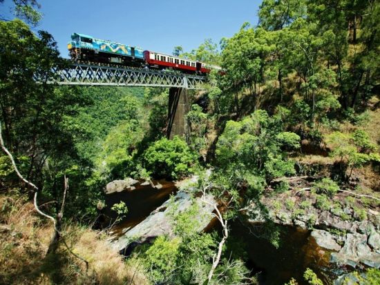 世界遺産キュランダ（鉄道＆スカイレール）ハートリーズ・クロコダイル・アドベンチャーズ入園付き！キュランダ村散策も楽しめる♪＜ケアンズ発着＞