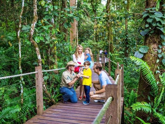 世界遺産キュランダ（鉄道＆スカイレール）ハートリーズ・クロコダイル・アドベンチャーズ入園付き！キュランダ村散策も楽しめる♪＜ケアンズ発着＞の写真5