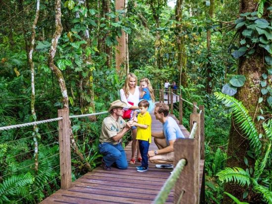 世界遺産キュランダ（鉄道＆スカイレール）ハートリーズ・クロコダイル・アドベンチャーズ入園付き！キュランダ村散策も楽しめる♪＜ケアンズ発着＞