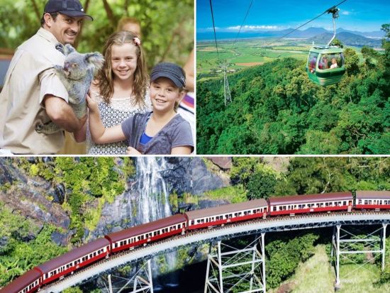 世界遺産キュランダ（鉄道＆スカイレール）ハートリーズ・クロコダイル・アドベンチャーズ入園付き！キュランダ村散策も楽しめる♪＜ケアンズ発着＞