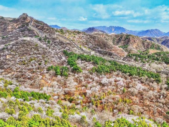 八達嶺長城シャトルバス（BUSDA）チケット予約 ＜往復／北京／地鉄北土城駅発＞