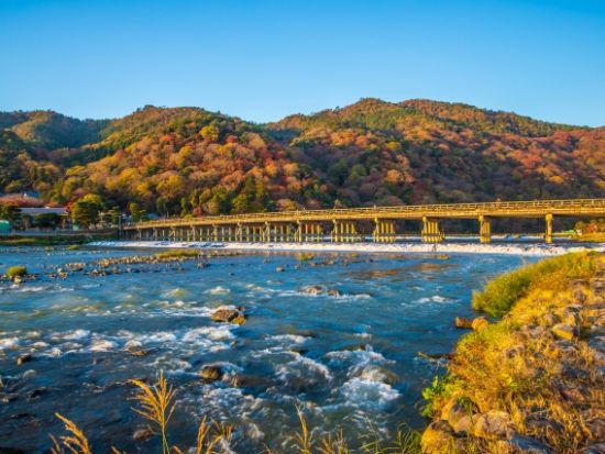 難波・梅田発 日帰りバスツアー 勝尾寺＆清水寺＋選べる神戸牛 or 豚しゃぶランチ＆茶道体験＜食事なしプランあり／京都・難波降車／英語ガイド＞