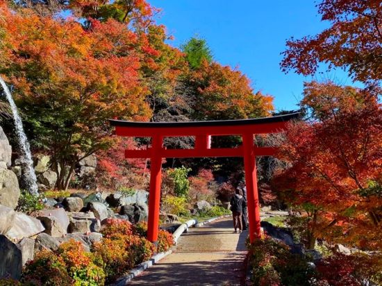 難波・梅田発 日帰りバスツアー 勝尾寺＆清水寺＋選べる神戸牛 or 豚しゃぶランチ＆茶道体験＜食事なしプランあり／京都・難波降車／英語ガイド＞