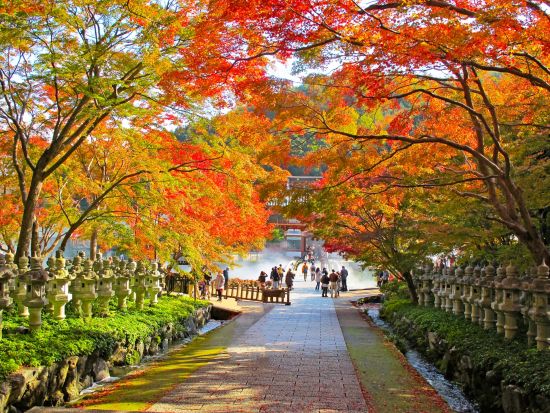 難波・梅田発 日帰りバスツアー 勝尾寺＆清水寺＋選べる神戸牛 or 豚しゃぶランチ＆茶道体験＜食事なしプランあり／京都・難波降車／英語ガイド＞