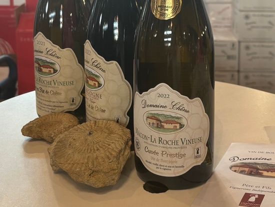 9162E9ED39A743FA09D6B8DDBDEC10C14A4CFFD4